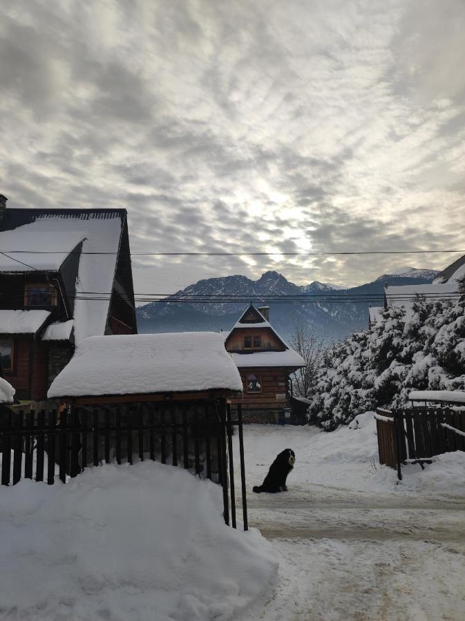 Apartamenty - Wymarzone Widoki Zakopane Exteriér fotografie